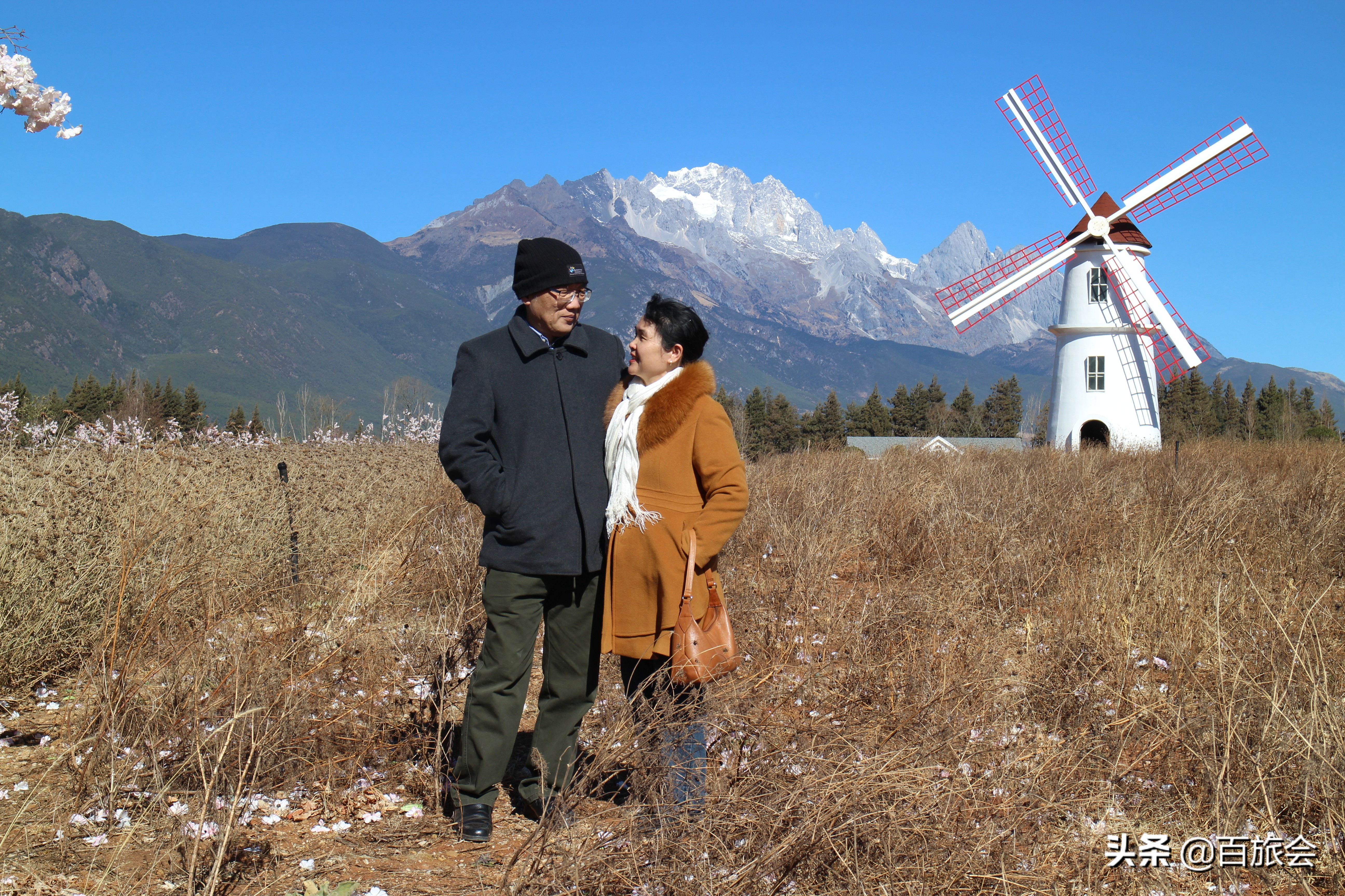 七夕，年轻人的专利？我们中老年人表示：不服