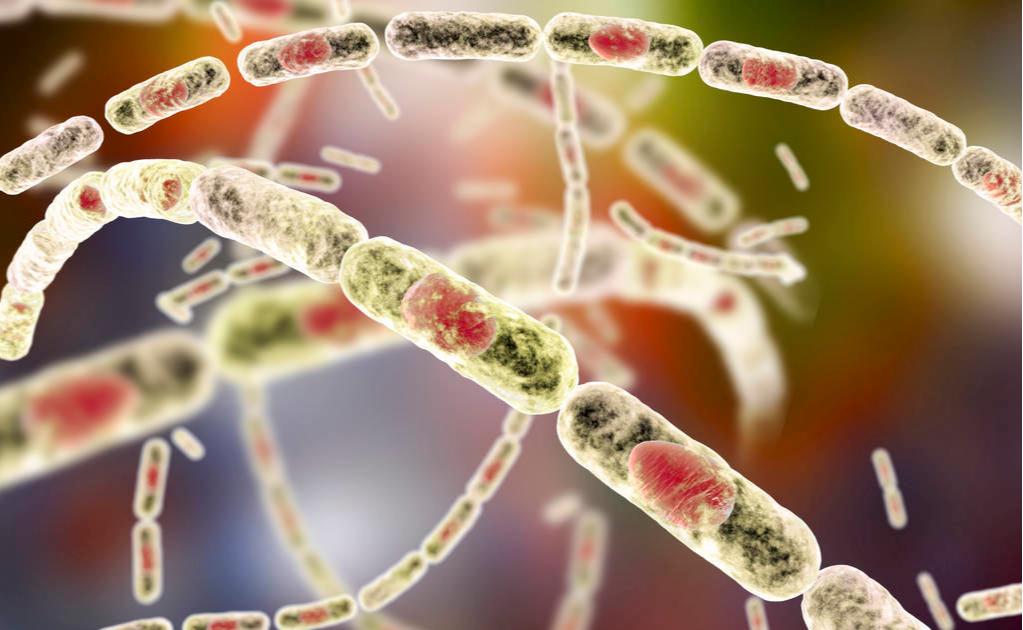 女性萎缩性阴道炎的具体症状,女性萎缩性阴道炎有什么症状