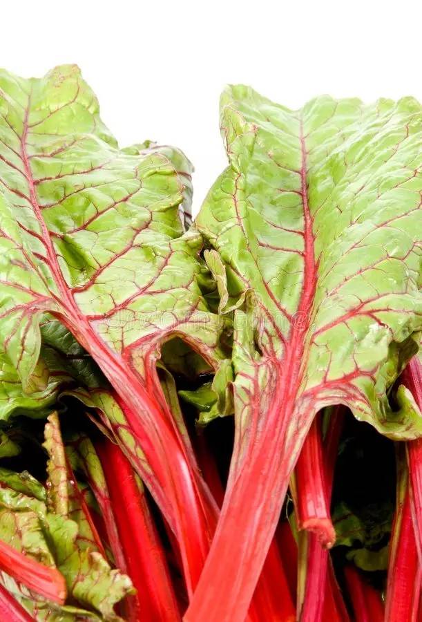 新加坡人爱吃的食物,新加坡奇葩美食图片