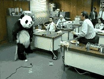 2020年摄影点评部分低分照片合集（下）（前方大量熊猫出没）