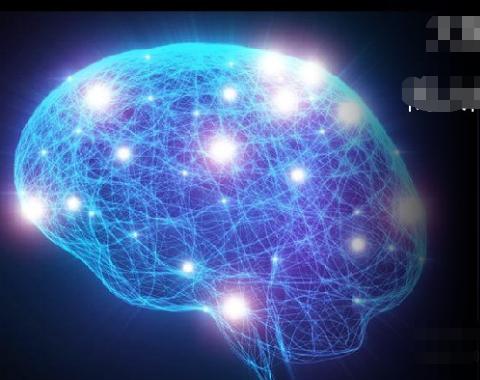 大脑的创造力主要蕴藏在哪里,大脑的自我意识是怎么产生的