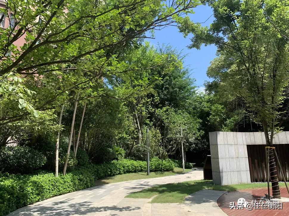 鉴盘⑥丨均价高过周边楼盘超500元/㎡的项目，值吗？