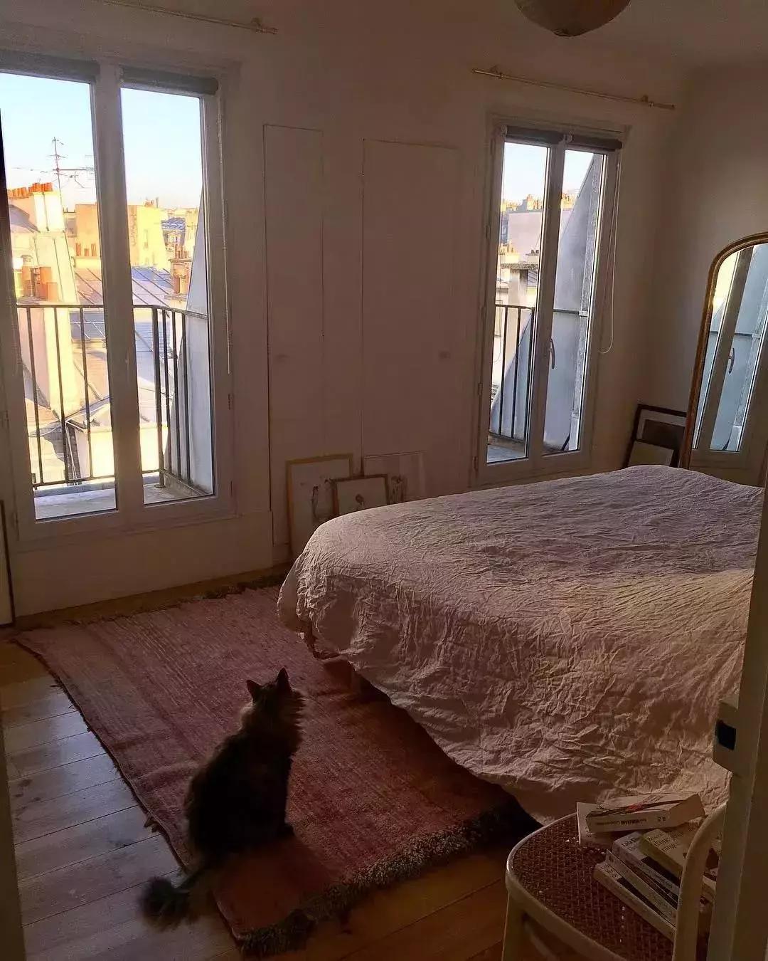 老佛爷的猫继承多少遗产,老佛爷去世了猫继承了多少遗产