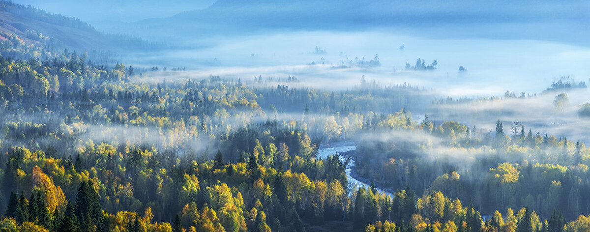 天子谋小说言欢,天子谋和玉楼春