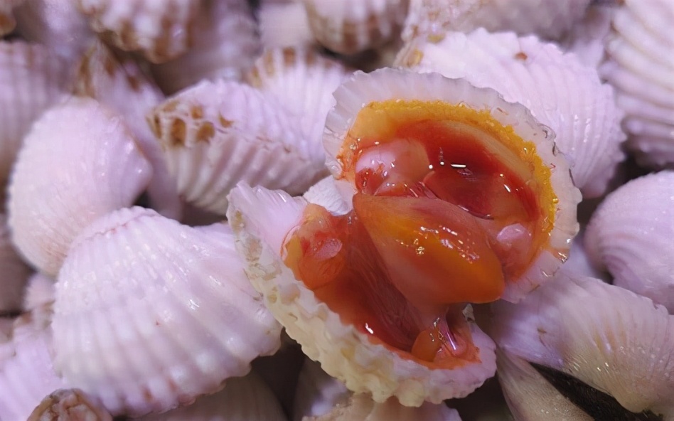 血蛤的另一种魅力,特色血蛤