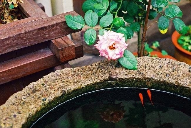 人为什么要挣钱活着,人为什么要挣钱完整版