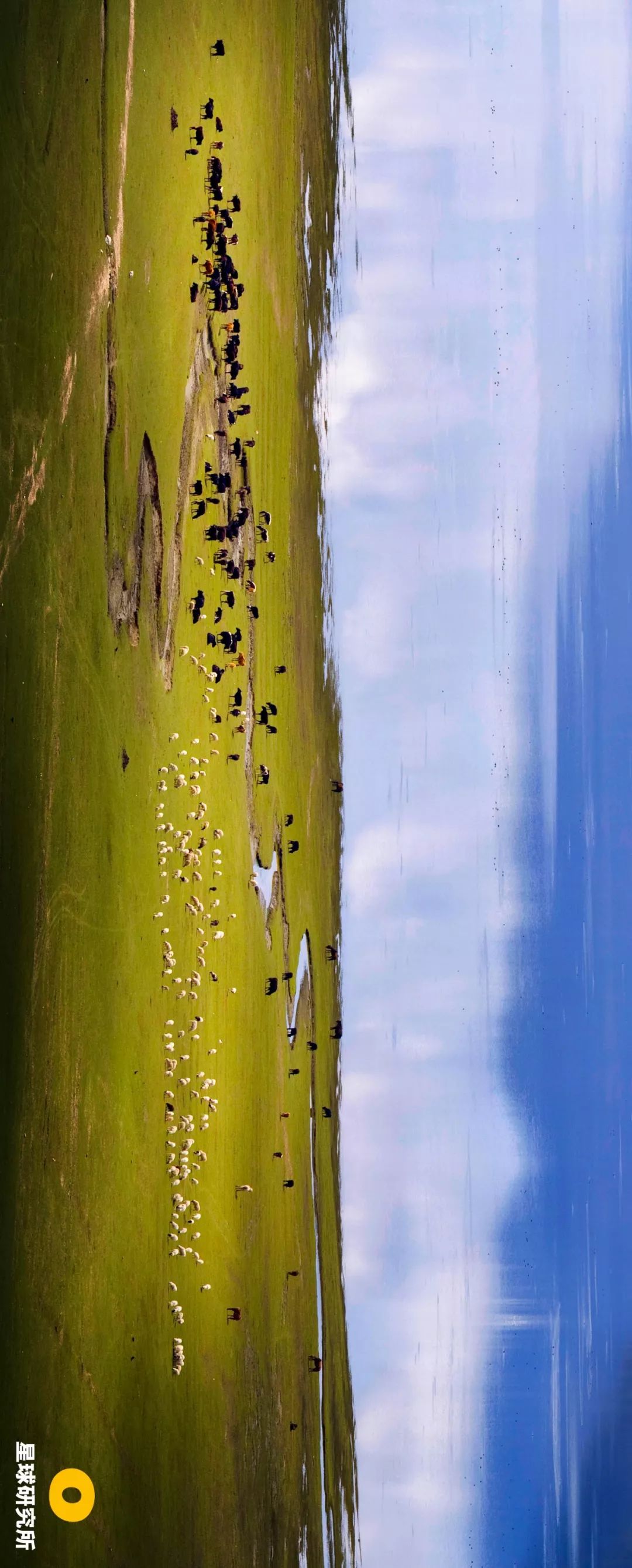 西藏你错过的风景,西藏路上的美景总是让你惊喜