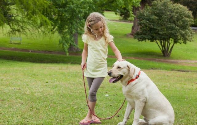 养狗不驱虫到头一场空,养狗不拴狗造成的伤害视频