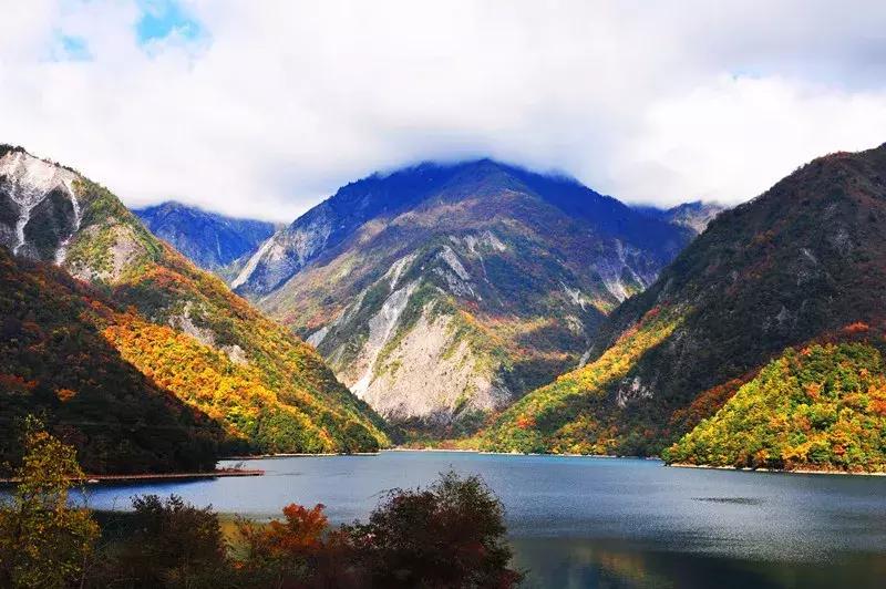 澶х編鏂囧幙,澶х編鐢樿們鏂囧幙