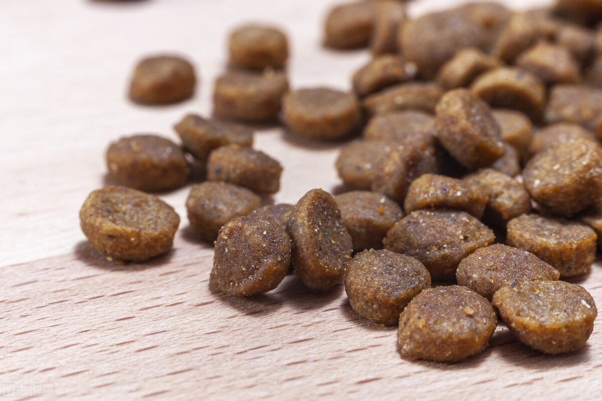 博美幼犬多久体内驱虫一次,博美幼犬吃什么狗粮比较好