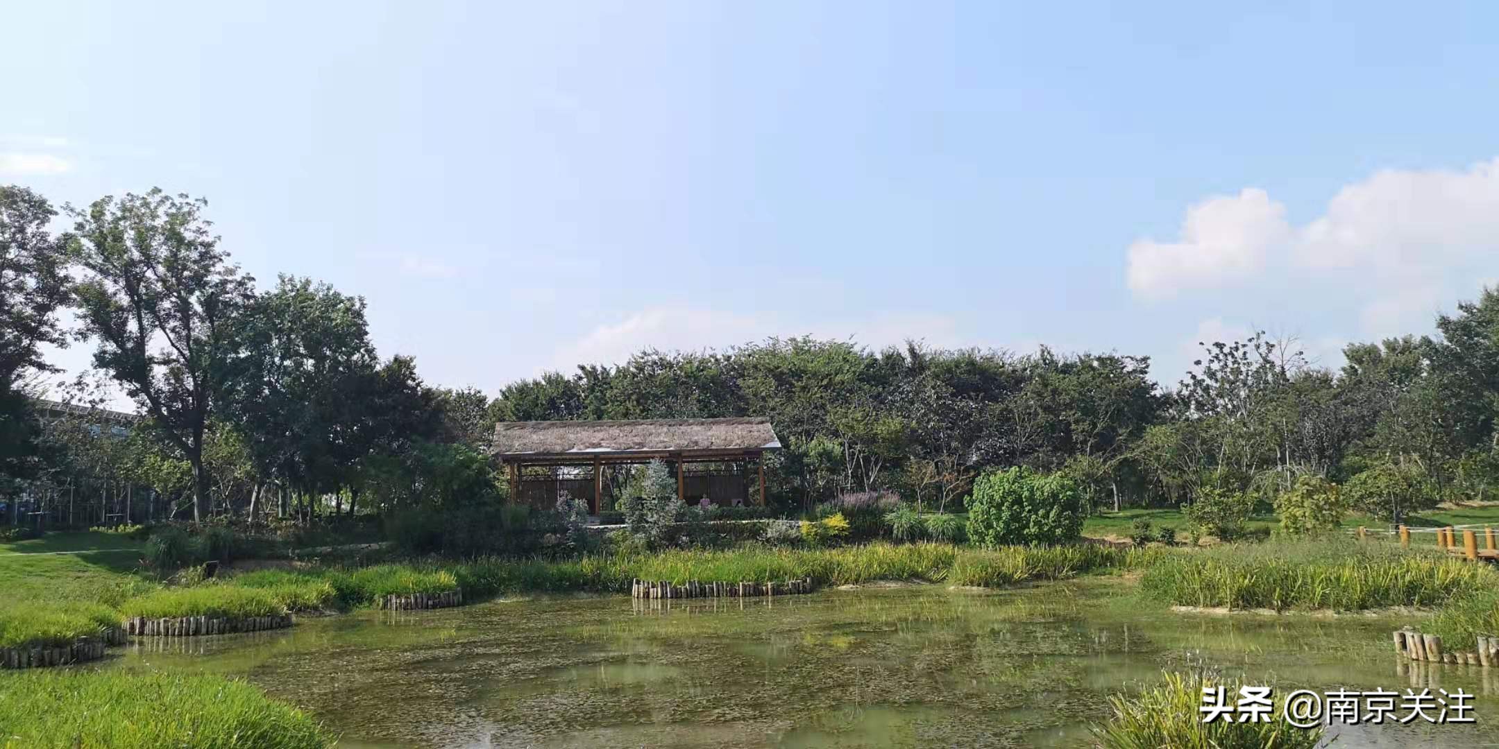 南京五一必打卡花海推荐,南京秋季网红打卡景点