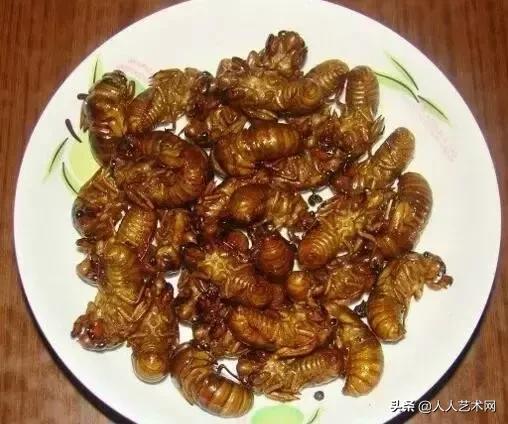 诸城简介,诸城是什么样的图片