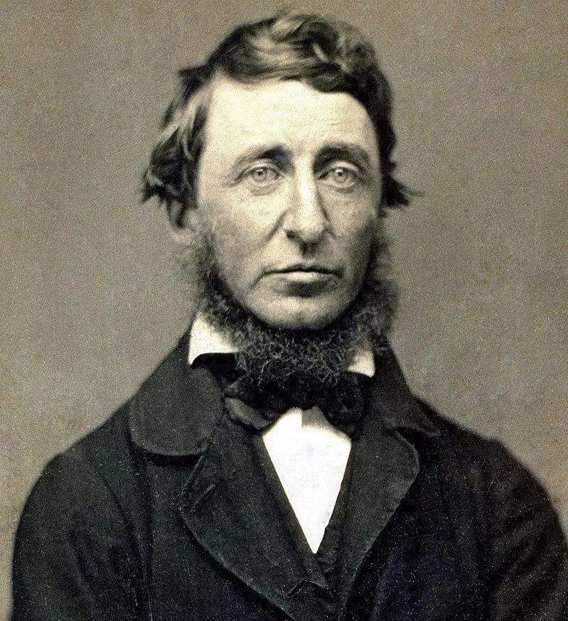 甘地提出非暴力不合作的原因,甘地非暴力不合作运动的历程