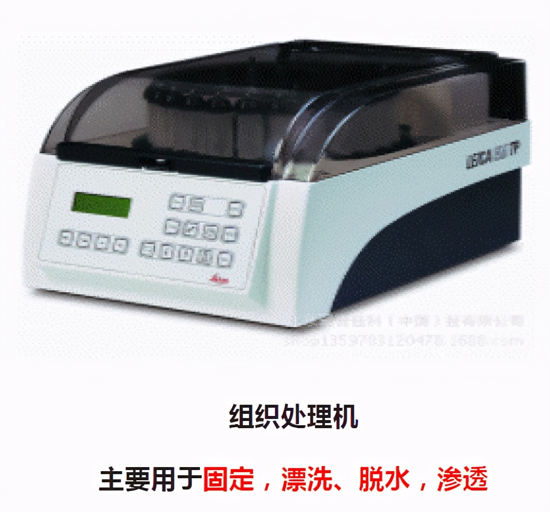 超薄切片教程,超薄切片制作