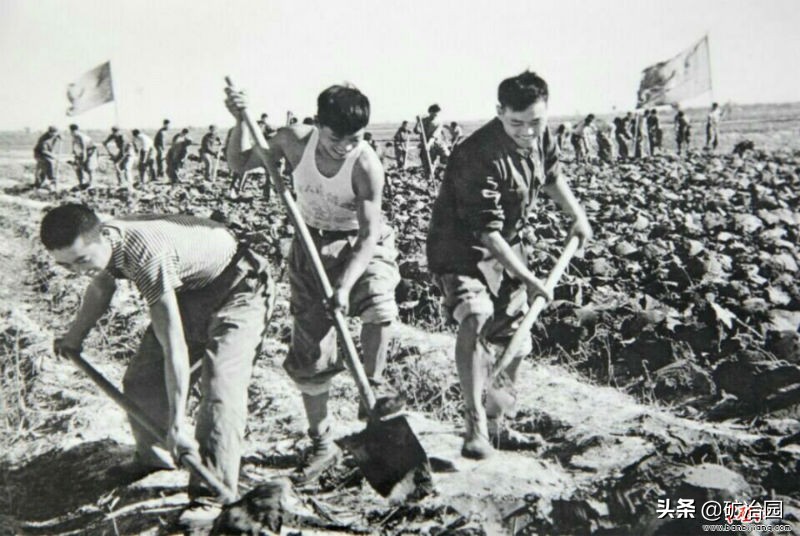 吉林炭素厂内蒙,吉林炭素厂最新消息