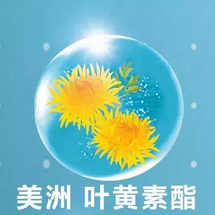 老人眼睛发涩干涩疲劳应该怎么办,老年人眼睛干涩最快恢复方法