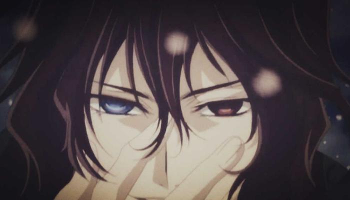 吸血鬼骑士玖兰枢真正的结局,吸血鬼骑士玖兰枢是始祖