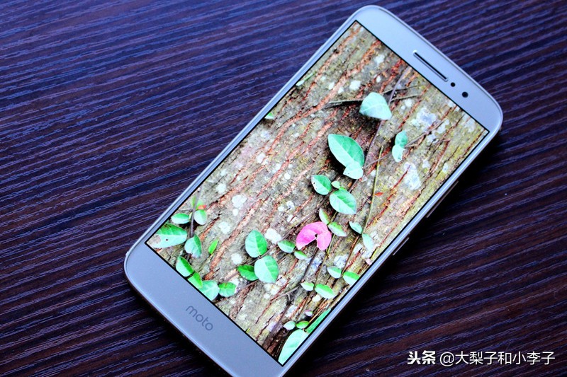 moto照相,moto拍照效果