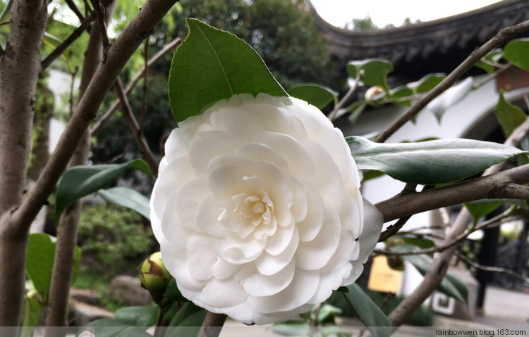 江南第一豪宅薛福成故居,江南第一豪宅无锡