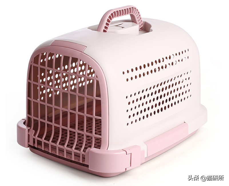 航空公司托运猫咪品种要求,全国猫咪托运公司