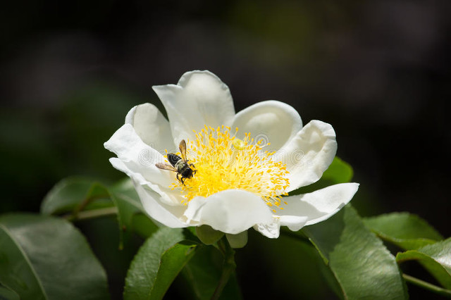 用心守护你的美丽,用心守护所有的美好