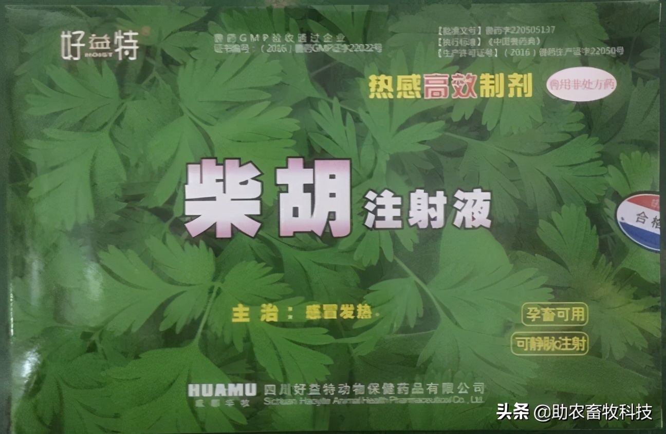 猪发热多少度时用药,猪低温375用什么药