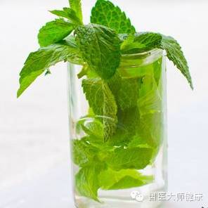 常吃这种叶子，清脂解腻，养颜解压