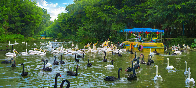 长隆拟变开放式世界主题乐园,广州长隆五大主题公园怎么玩