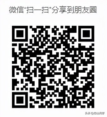 文昌东郊椰林,散文椰子树