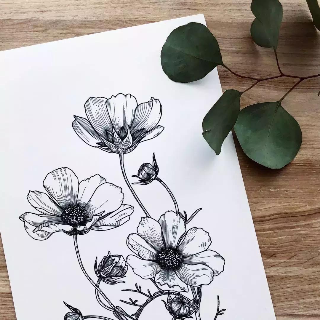 这一波手绘太给力了,绝对让你练完不厉害都难