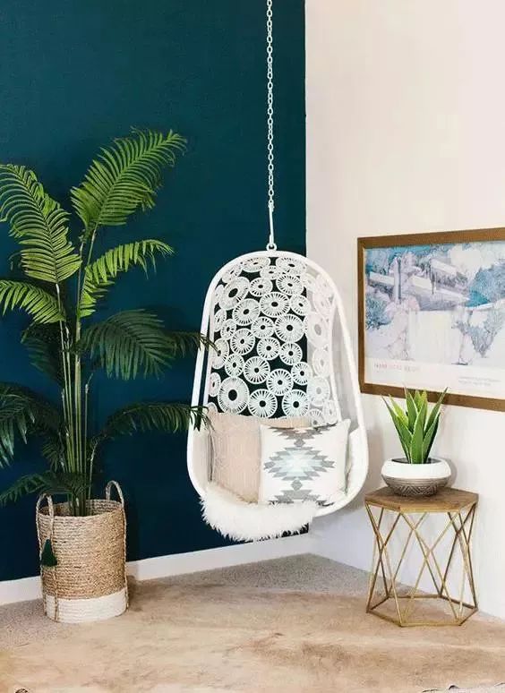 能吸甲醛的植物花卉,吸甲醛的十大植物有哪些