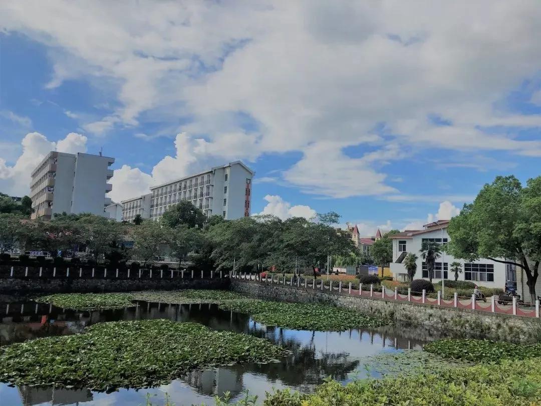 南京财经大学红山学院长什么样,南京财经大学红山学院院系数量