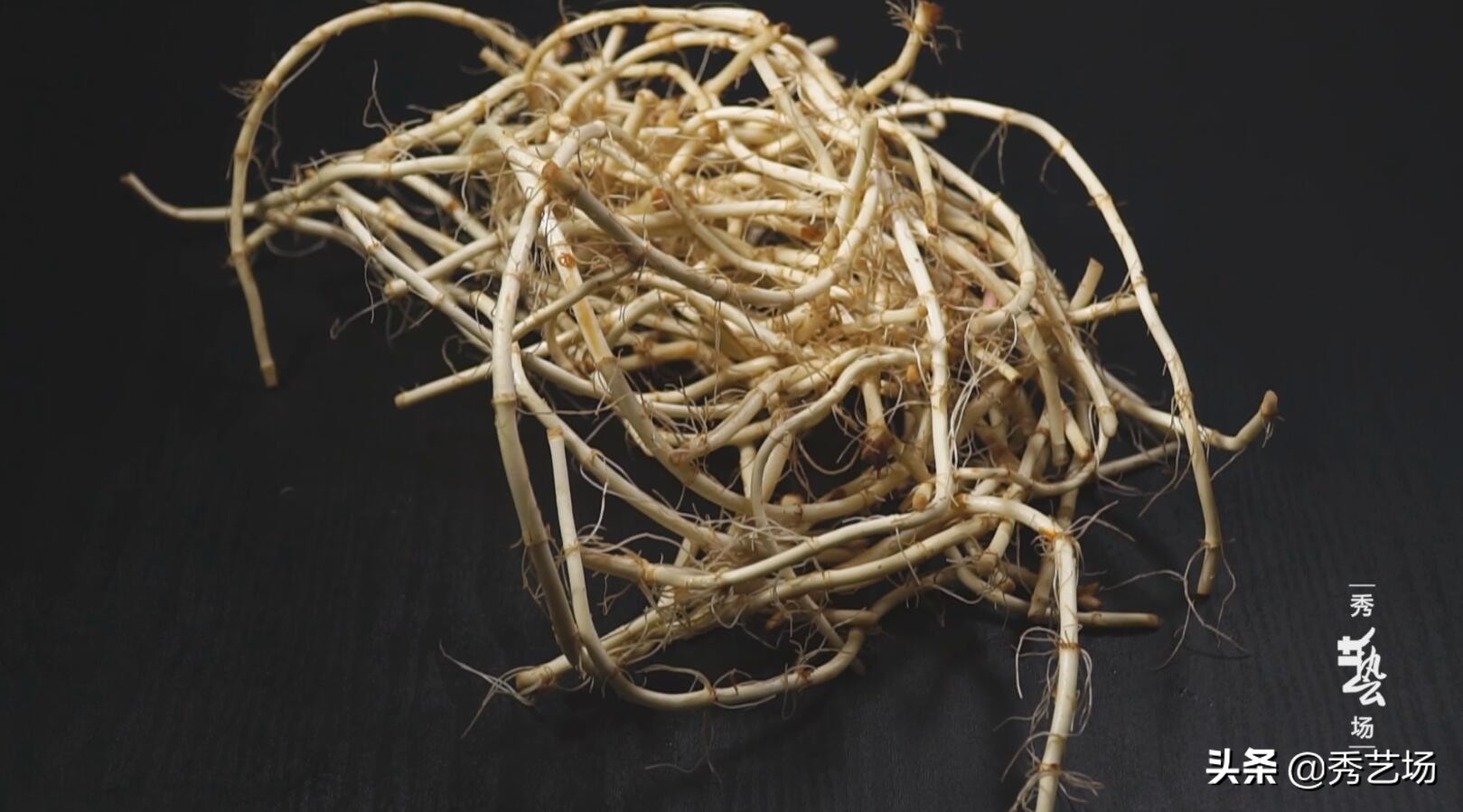 折耳根比香菜还难吃,折耳根这玩意是人吃的吗