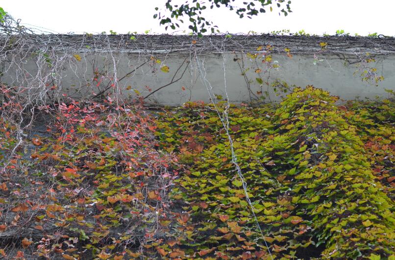 常州运河五号创意园特别好玩,常州运河五号创意街区地块