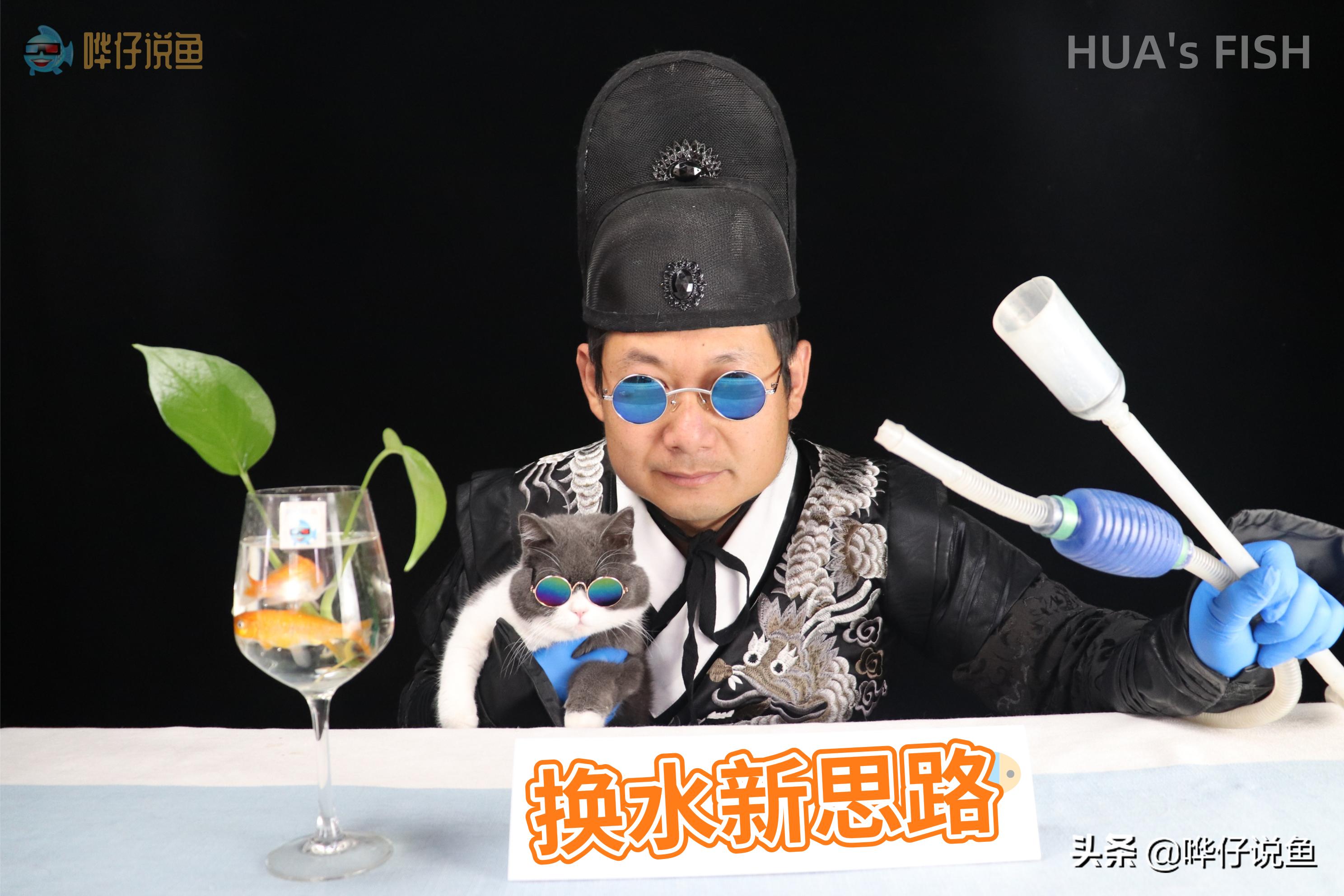 小鱼缸给鱼换水的正确方法,观赏鱼鱼缸换水正确方法