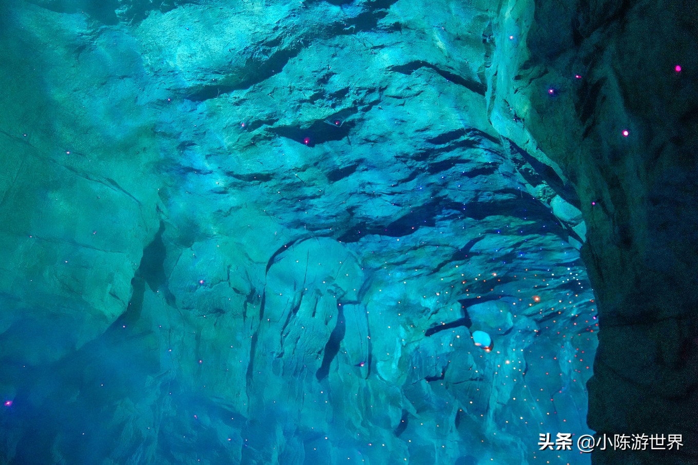 寒假广州长隆三天两夜亲子游攻略,带孩子广州长隆旅游攻略