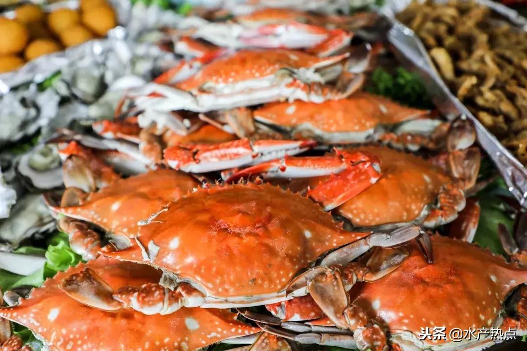 舟山梭子蟹为什么价格这么高,舟山梭子蟹价格为啥差那么多