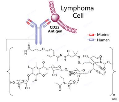药渡,药渡数据研发流程