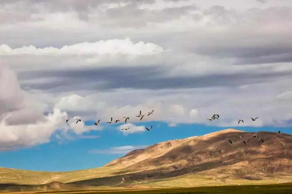 滇藏线西藏旅游攻略,西藏和西北旅游攻略路线