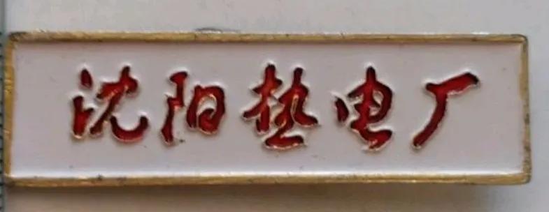 沈阳发电厂有哪些,沈阳小电厂现状