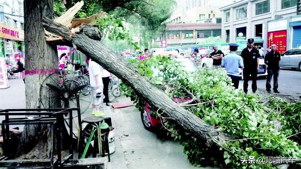 新车车身老化怎么处理,长时间停车如何保护车漆