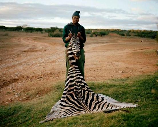 斑马斑马你不要睡着啦什么意思,斑马斑马你不要睡着啦是什么意思