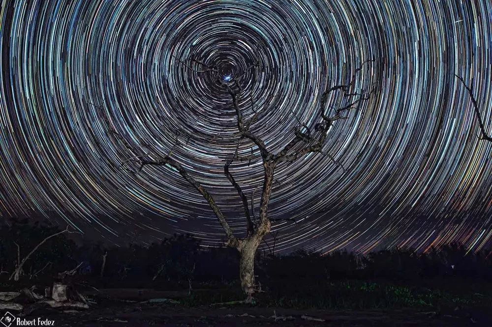 汇率起起伏伏，自然旅行跟着这张表格走，最划算