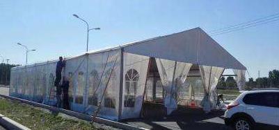 农村种田项目,北方农村挣钱项目有哪些