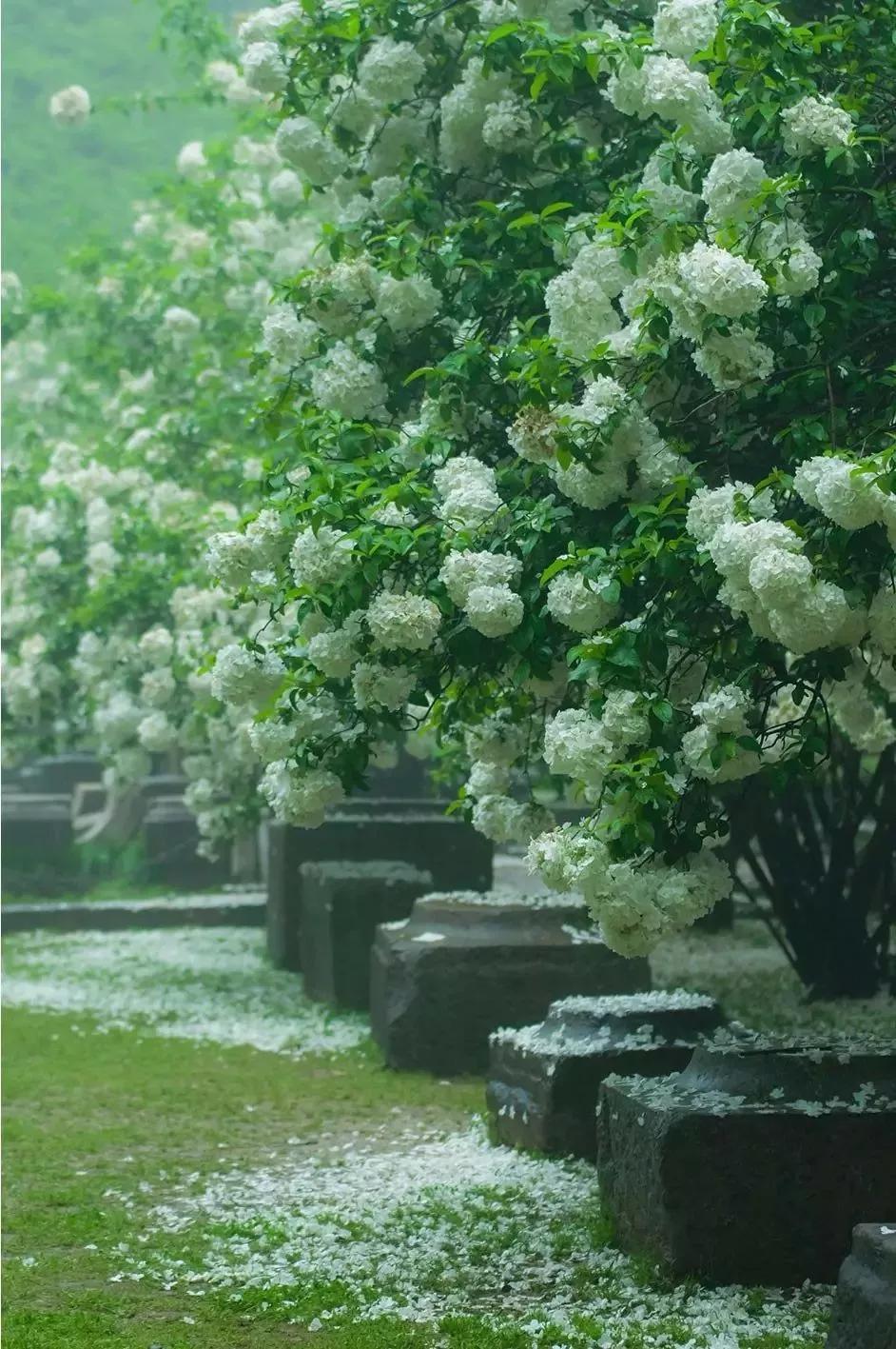 南京天空之镜高清图,中国五大惊艳世界的城市