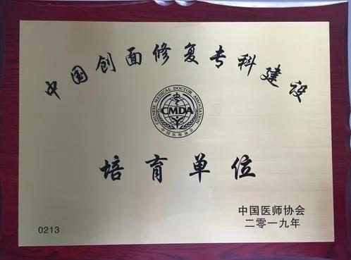 中国创面修复专家,全国慢性创面修复中心