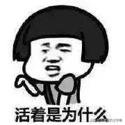 学英语先从骂人开始,学英语从骂人开始