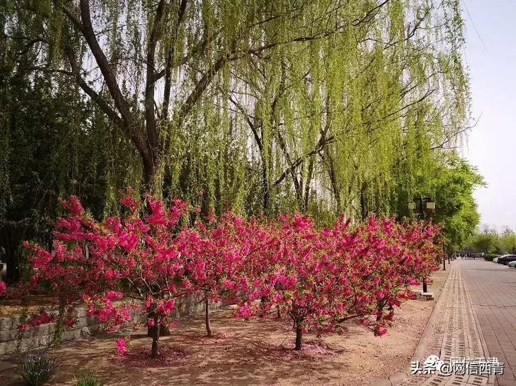 天津里巷,天津津门里巷老照片