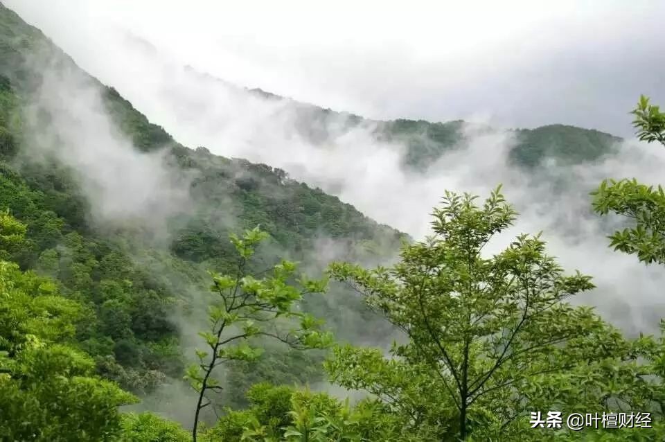 现在投资越来越难了,现在投资为什么容易失败