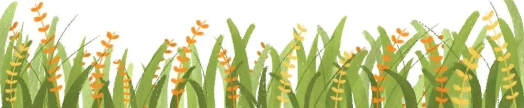 切尔滕纳姆学院如何,切尔滕纳姆大学